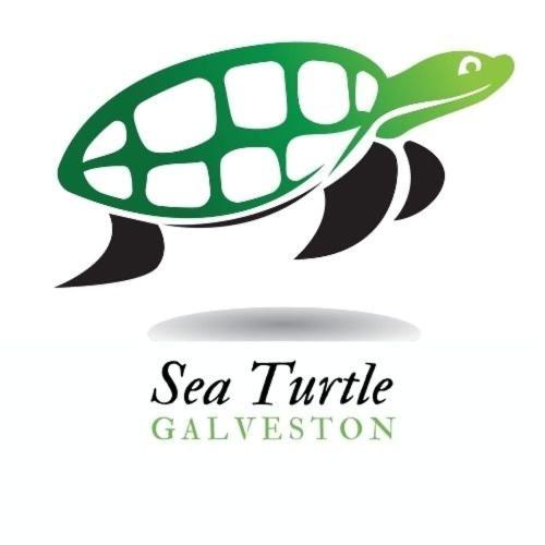 Sea-Turtle 302 - Lovely 2Br Beach Condo With Resort Amenities! Walk To Beach! Condo กาลเวสตัน ภายนอก รูปภาพ